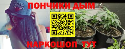 стаф Будённовск