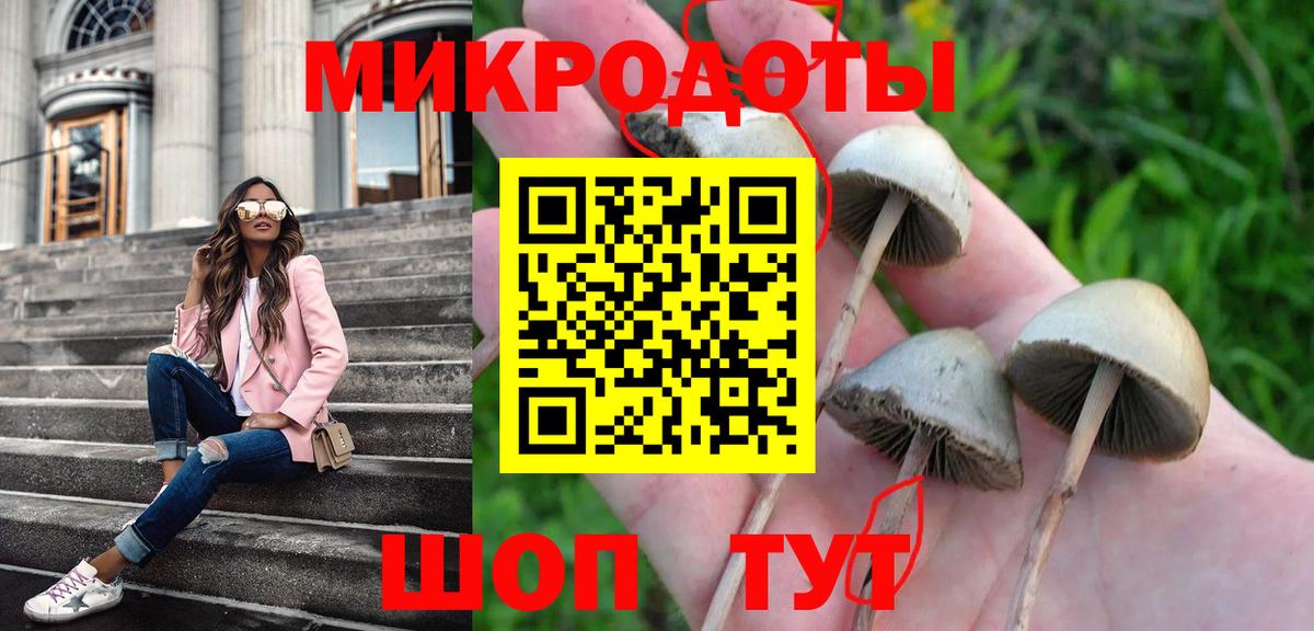 Псилоцибиновые грибы Magic Shrooms  Вход с VPN  Ногинск 