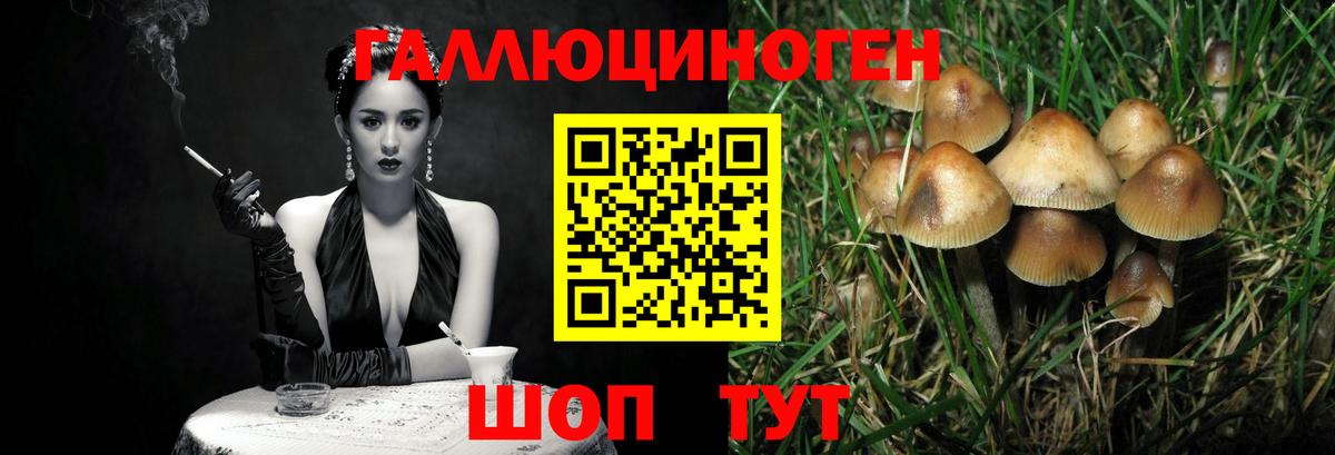 Галлюциногенные грибы Magic Shrooms Ногинск